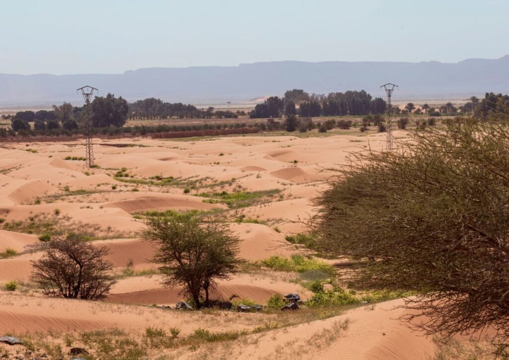 Journey to Marrakech Premium Travel