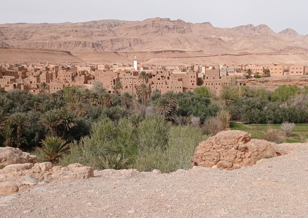 Journey to Marrakech Tangier Tours