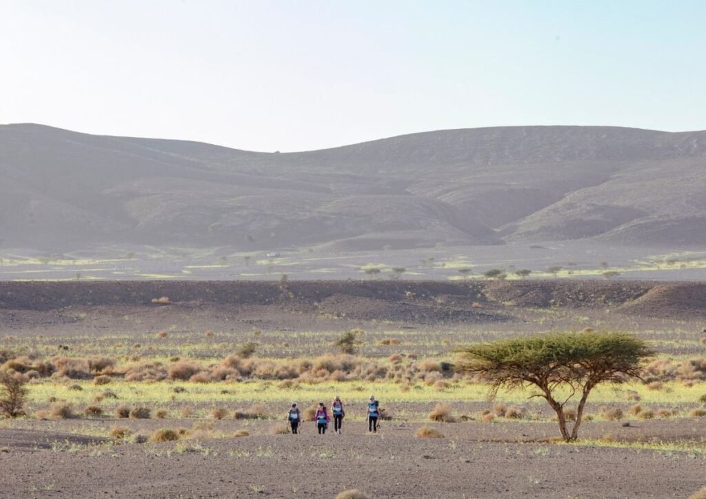 Morocco Travely Travel Experiences